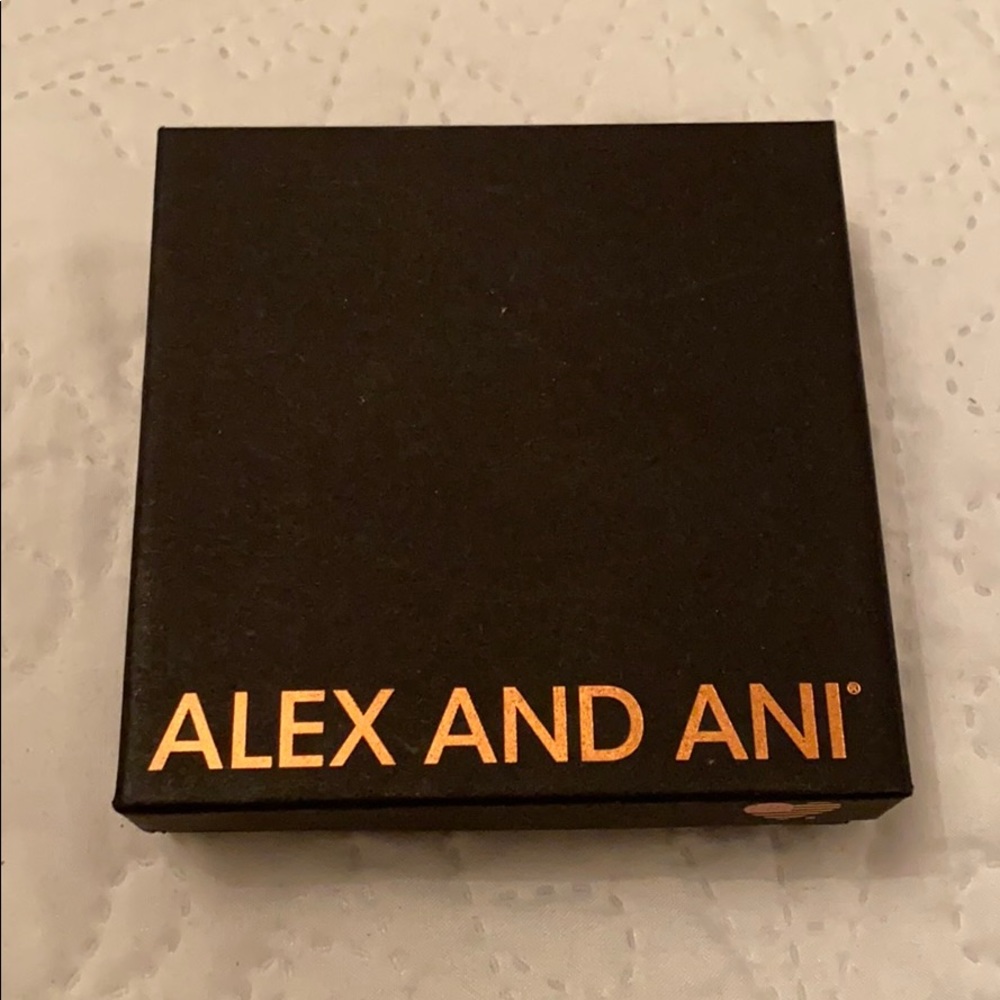 Alex and Ani Special Delivery